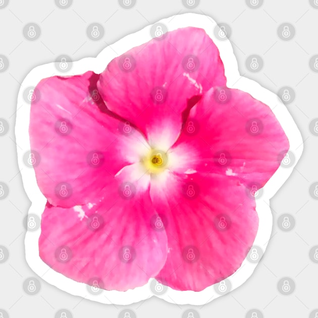 Pink Flower Yellow White Center Sticker by wildjellybeans